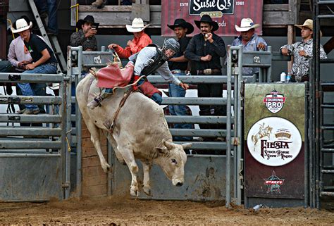 Wild Ride Photograph By Bill Keiran Pixels