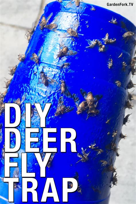 Diy Deer Fly Trap Deer Fly Fly Traps Fly Repellant Diy