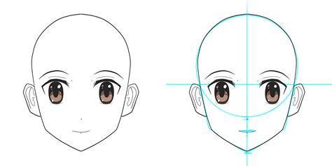 Details More Than 66 Anime Face Proportions Induhocakina