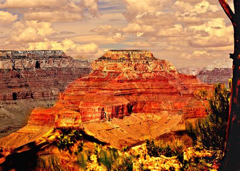 Yavapai Grand Canyon Photograph By Bob And Nadine Johnston Pixels