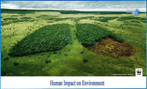 How Does Human Affect The Environment Netsol Water