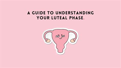 A Guide To Understanding Your Luteal Phase The Girls Company