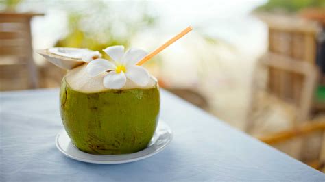 Some even refer to it as nature's gatorade (but way better, because it doesn't have the scary fluorescent colouring, sugar, vegetable oil, and high fructose corn syrup. 3 reasons you must have coconut water | Vogue India ...