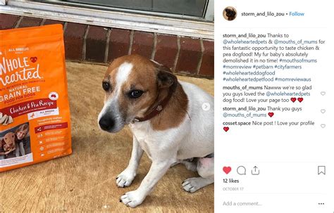 We're always working to help grow the bond you both share with our expanding selection of dog food products. WholeHearted Chicken and Pea Dog Food Product Review