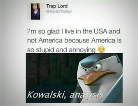 why is kowalski anlysis dead meme by danklasagnalover69 memedroid