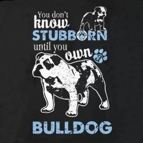 Bulldog Quotes English Bulldog Lover Bulldog Funny
