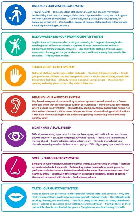 Free Resource From The Sensory Wise Website Our Sensory Systems With