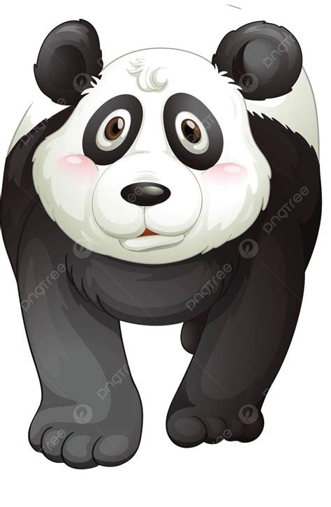 Panda Single Object Drawing Vector Single Object Drawing Png And