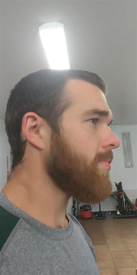 Exemplary Medium Length Hairstyles For Men With 2 Month Beards Cute