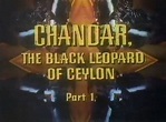 Chandar, the Black Leopard of Ceylon | Disney Wiki | Fandom