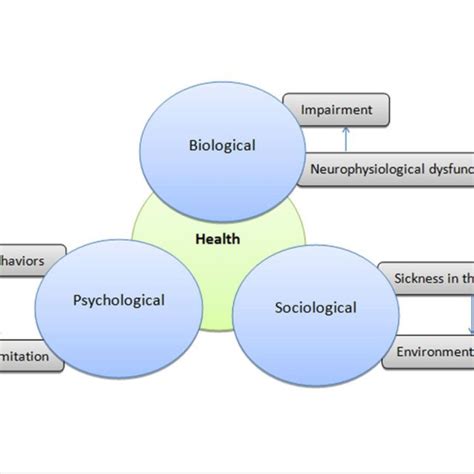 The Biopsychosocial Model Of Health Links Biological Psychological And