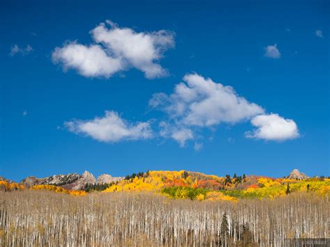 Autumn Colors In Crested Butte Mountain Photography By Jack Brauer