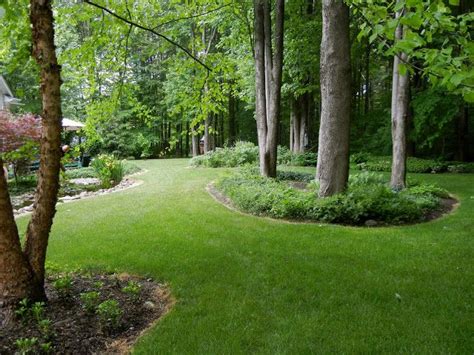 A Curious Gardener Large Backyard Landscaping Wooded Backyard