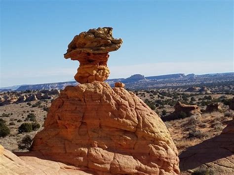 South Coyote Buttes Kanab All You Need To Know Before You Go