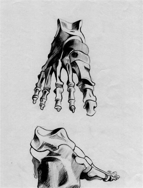 Human Anatomy Sketches By Gayatripatil On Deviantart