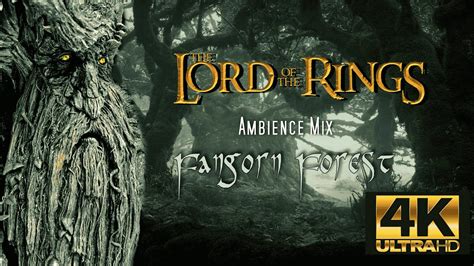 The Fangorn Forest Lord Of The Rings Ambience Youtube