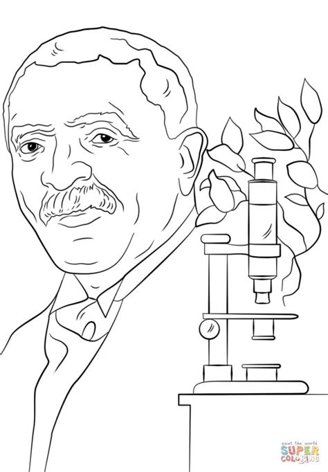 Excellent Picture Of George Washington Carver Coloring Page Vicoms Info