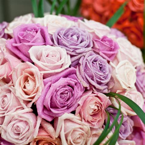 9 Most Romantic Flowers And Their Meanings In The Playroom
