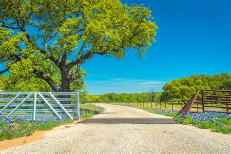 9 Best Texas Scenic Drives For Enjoying The Lone Star State Countryside