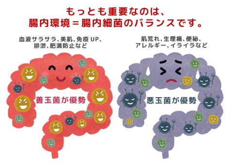 1部 家族は非常に悪かった住んでいた。 彼らは地下室に住んでいた。 このファミリでは、エルザアダムス息子、ママとパパジュリアンgarikの娘だった。 エルザは狂人だ. 腸内環境正常化のススメ｜さいたま市近くの蓮田市にある整体 ...