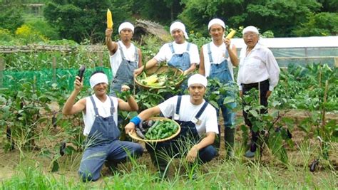 15) 2013年进修于在意大利阿韦利诺市villa dei platani (gruppomalzoni)医院和意大利拿泼里市 clinica ruesch医院，此次进修属第一国际意大利俄罗斯学校腔镜、肿瘤及子宫内膜异位的腹. DASH村の住所や場所はどこ？現在の様子がヤバイ!復活や今後は ...