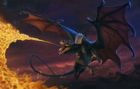Wallpaper Flight Flame Dragon Fire Breathing Dragon Images For