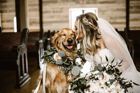 15 Times Dogs In Weddings Stole The Show Green Wedding Shoes