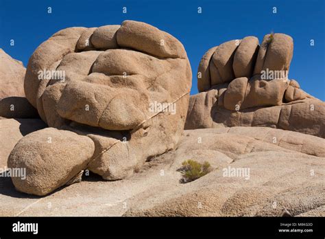 Rock Formations Near Jumbo Rocks Campground Joshua Tree National Park