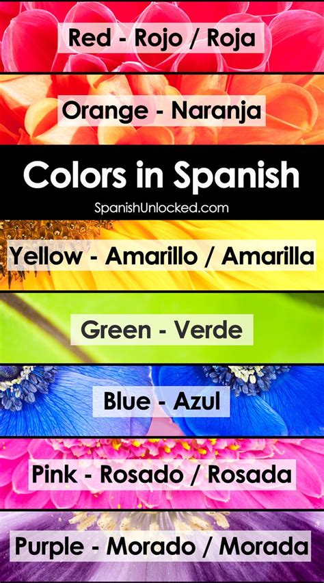 How To Say Color Orange In Spanish Sudio Yo