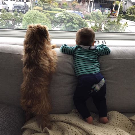 These Photos Prove That Kids And Dogs Are Bffs Our Funny Little Site