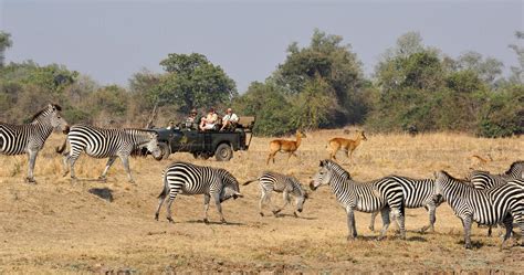 Photography Holidays In Zambia Expert Africa