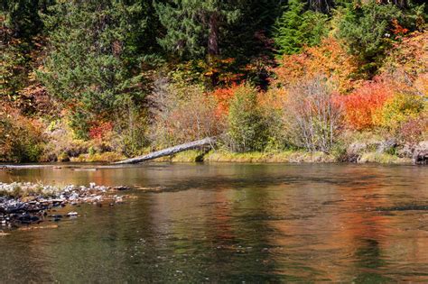 Fall Colors By River Stock Photo Image Of Fall Light 96846678
