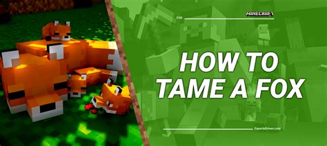How To Tame A Fox In Minecraft A Step By Step Guide