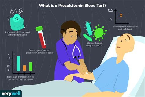 Procalcitonin Blood Test Results And What They Mean