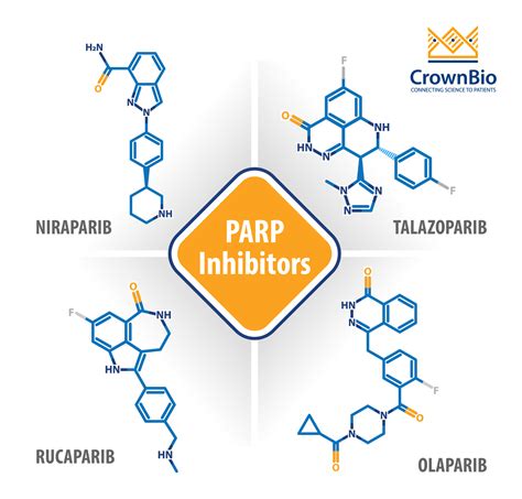 Parp Inhibitors Where Are We In 2020 And Whats Coming Next