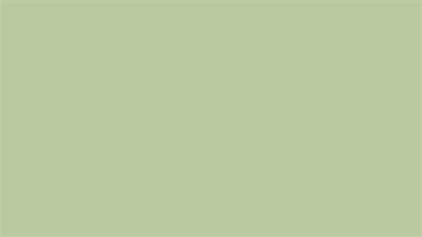 Green Aesthetic Solid Color Background Canvas Broseph