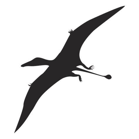 Pterosaur Silhouette 2 Transparent Png And Svg Vector File