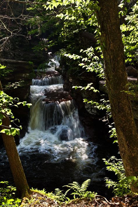 Ricketts Glen State Park Pa Pennsylvania Waterfalls State Parks