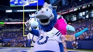 Vote “Blue” for the Mascot Hall of Fame | Fox 59