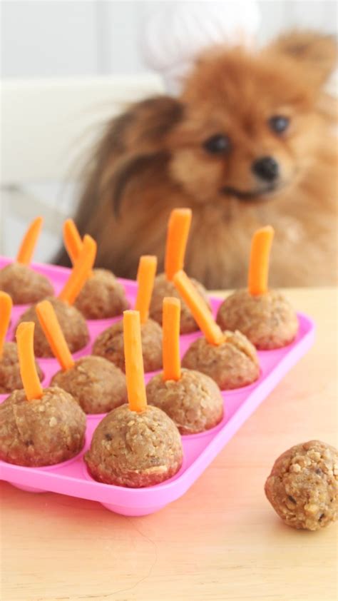 In a separate bowl mix together vegetable oil, peanut butter, applesauce and pumpkin puree. Cake Pops for Dogs Video | Recipe Video | Dog cake ...