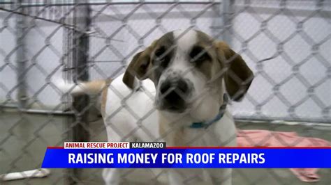 Kzoo Animal Shelter Raising Money To Help Repair Damage Caused By Leaky