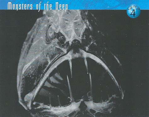 Monsters Of The Deep Weird N Wild Creatures Wiki Fandom