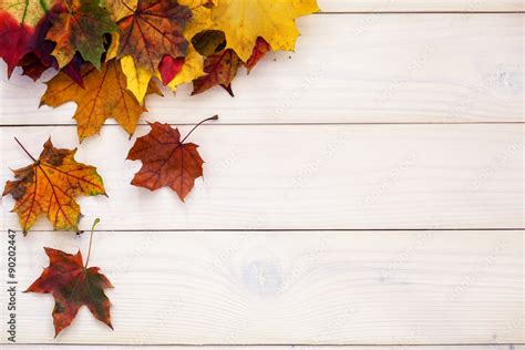 Autumn Background With Colorful Leaves On Wooden Background Stock Photo