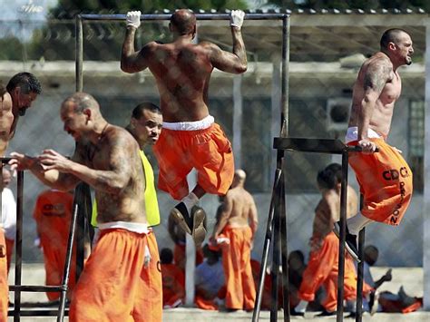 White Collar Criminals Cope Better With Prison Life Than Other Inmates