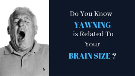 Do You Know Yawning Is Related To Your Brain Size Tribeca Care