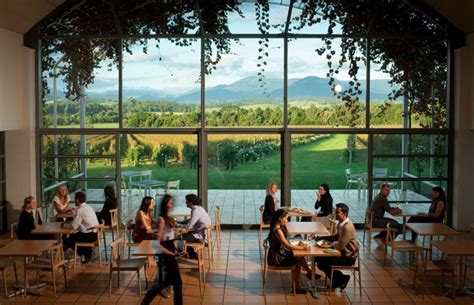 Best Winery In Yarra Valley | Best Wineries Yarra Valley