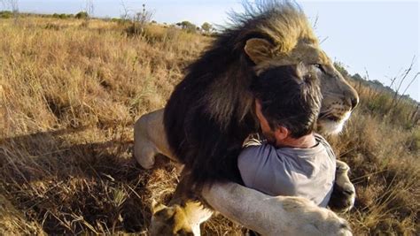 Gopro Capture Une étreinte Entre Kevin Richardson Et Des Lions Kultt