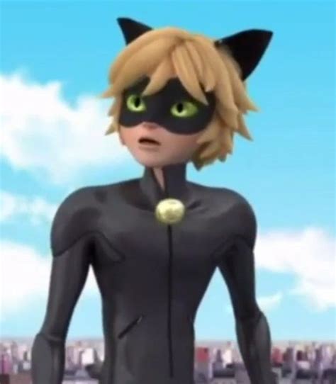 Miraculous Damla Lovato Adlı Kullanıcının Miraculous Ladybug And Cat Noir