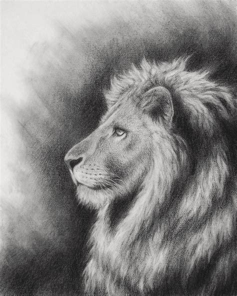 Lion Of Judah Artwork Imageaslanchronicles Of Narnia Cs Lewis