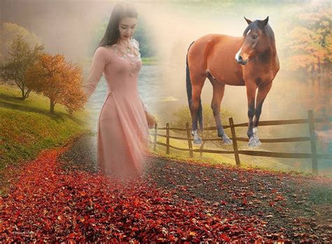 Emily50s Nature Nature Horse Autumn Nature Horse Autumn